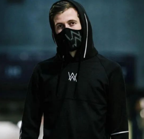 Alan Walker#电音教主