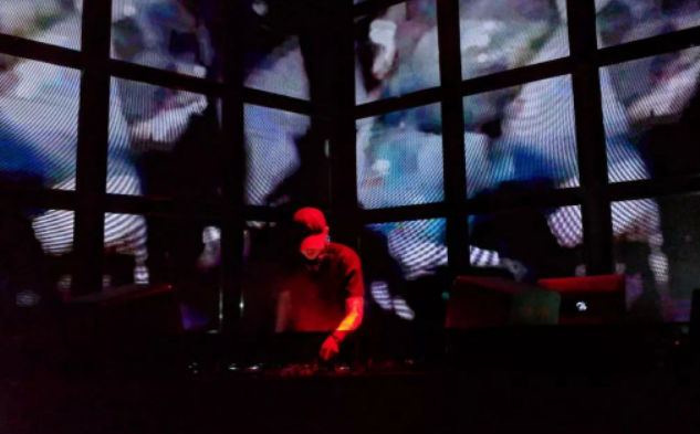 77Mushrooms