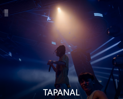 DJ TAPANAL