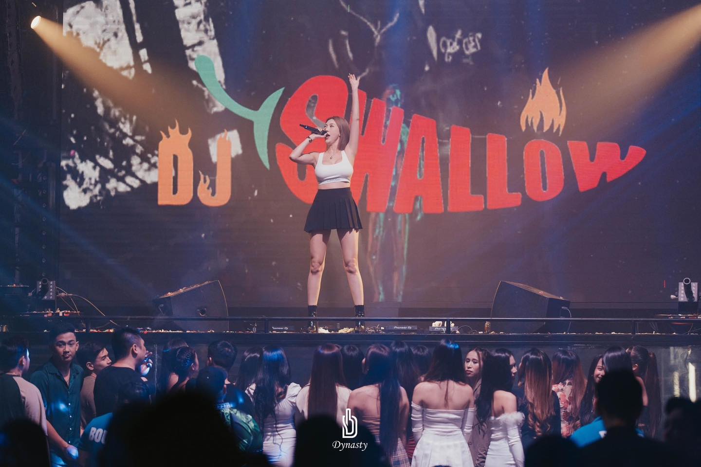 DJ Swallow