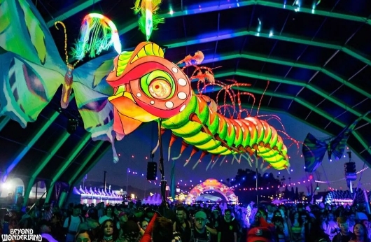 Beyond Wonderland