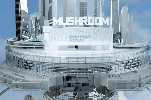 普洱普洱MUSHROOM