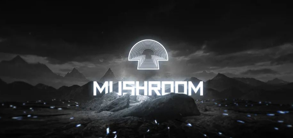 普洱MUSHROOM