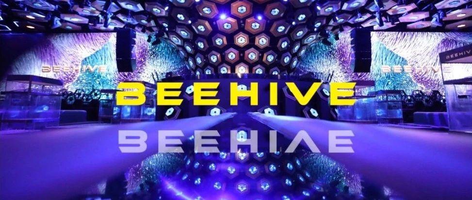 BEEgin｜深入BEEHIVE 我们的表现形式不止黄黑