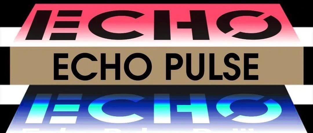 ECHO PULSE | WHICH ONE IS YOUR ONE PICK?