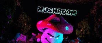 Mushroom X Supermiami联名发布Super Party#01，集结全国Raver天团，开启潮流音乐厂牌新纪元