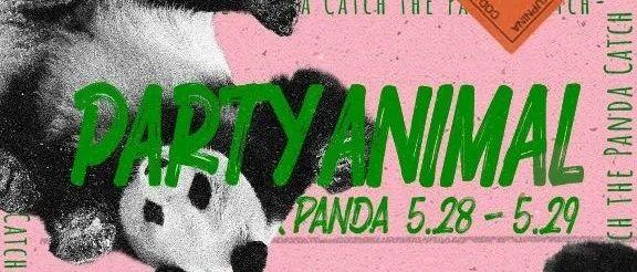Party Animal | 解锁熊猫乐园畅游攻略