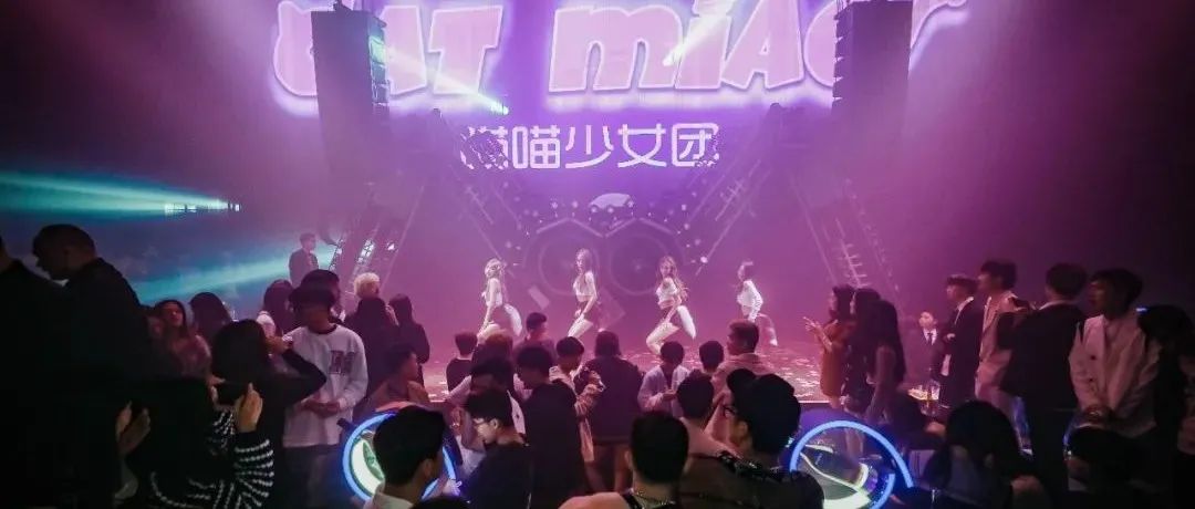 REVIEW | 这几只小猫有没有捕获到你的心？