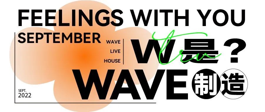 W的意思是WAVE制造