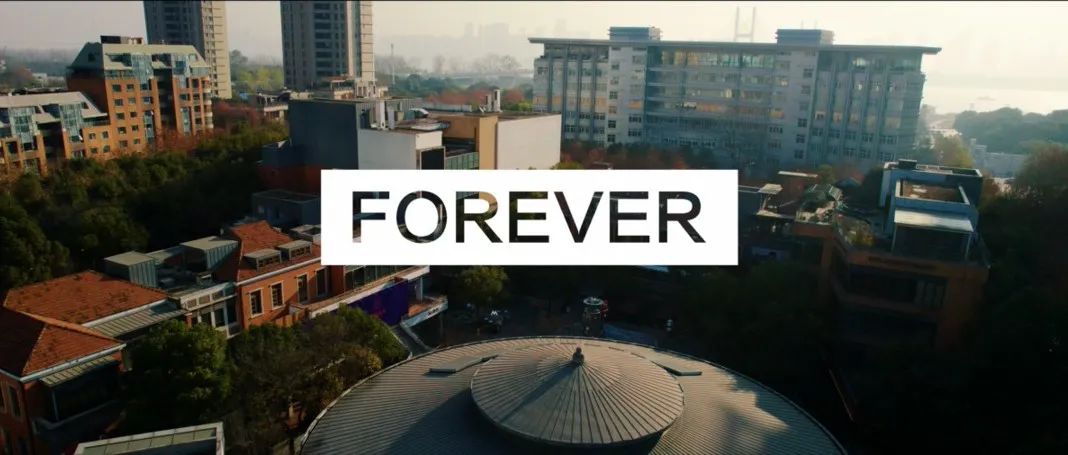 2022-FOREVER正式登场