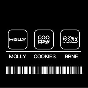 MOLLY | 现场回顾