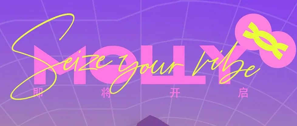 MOLLY | 一个全新的焦点 值得被期待