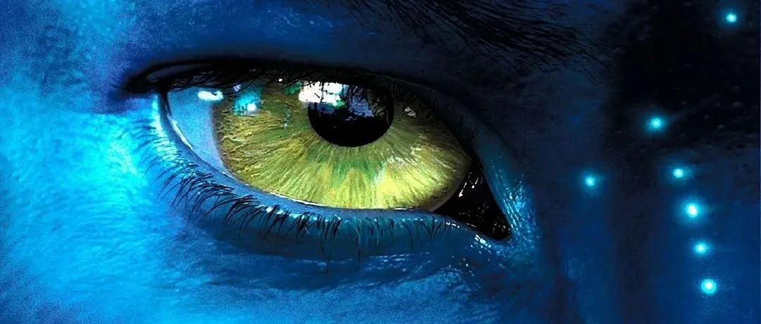 𝗚+𝗣𝗟𝗨𝗦丨 10.31-11.01《AVATAR》万圣节主题派对。化身蓝皮战士，保卫梦幻的潘多拉大陆！