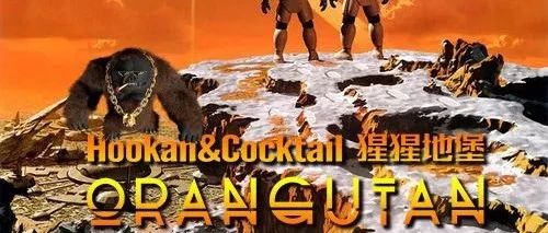 FLASHBACK│ORANGUTAN 猩猩地堡一周年回放
