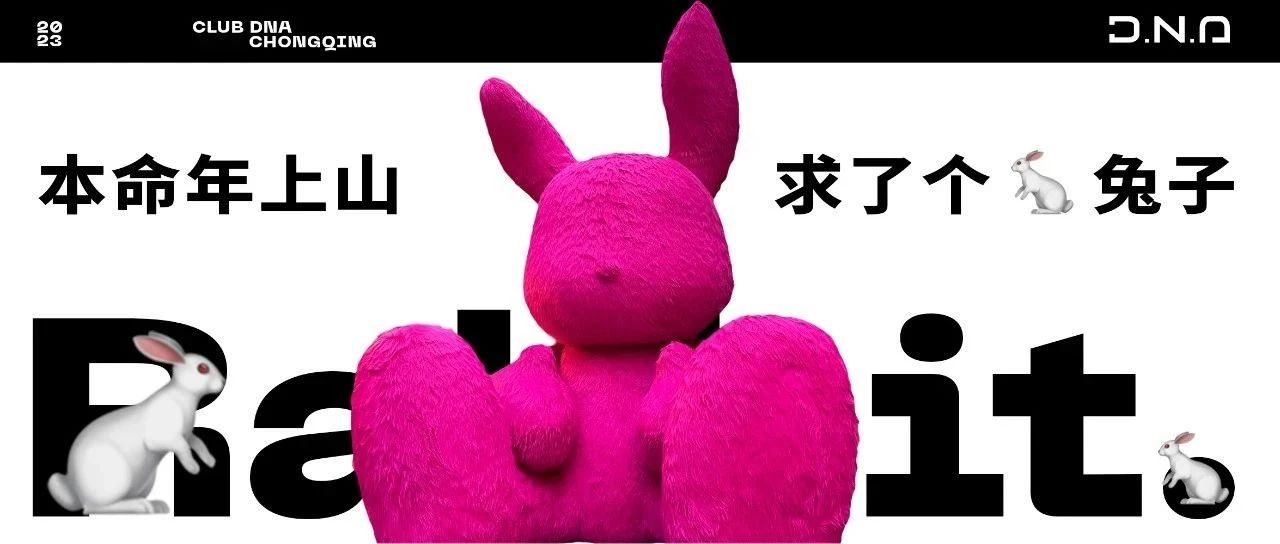 本命年上山求了个兔子