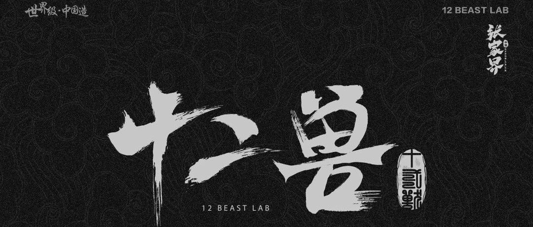 𝟭𝟮 𝘽𝙀𝘼𝙎𝙏 𝙇𝘼𝘽 • 张家界 | 巨匠娱乐·燎亮大庸