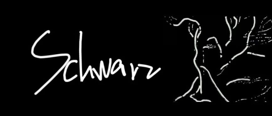 ▼ 6.3 周六｜SCHWARZ：纯黑乐享 ▲