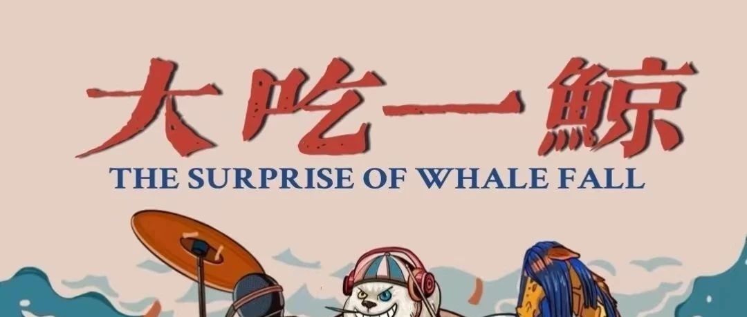 开票 | 08/12【大吃一鲸】鲸落乐队全国巡演 苏州站