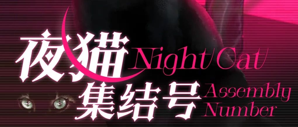 07.15 夜猫集结号 | 小猫咪能有什么坏心思，不过是想蹭蹭你罢了