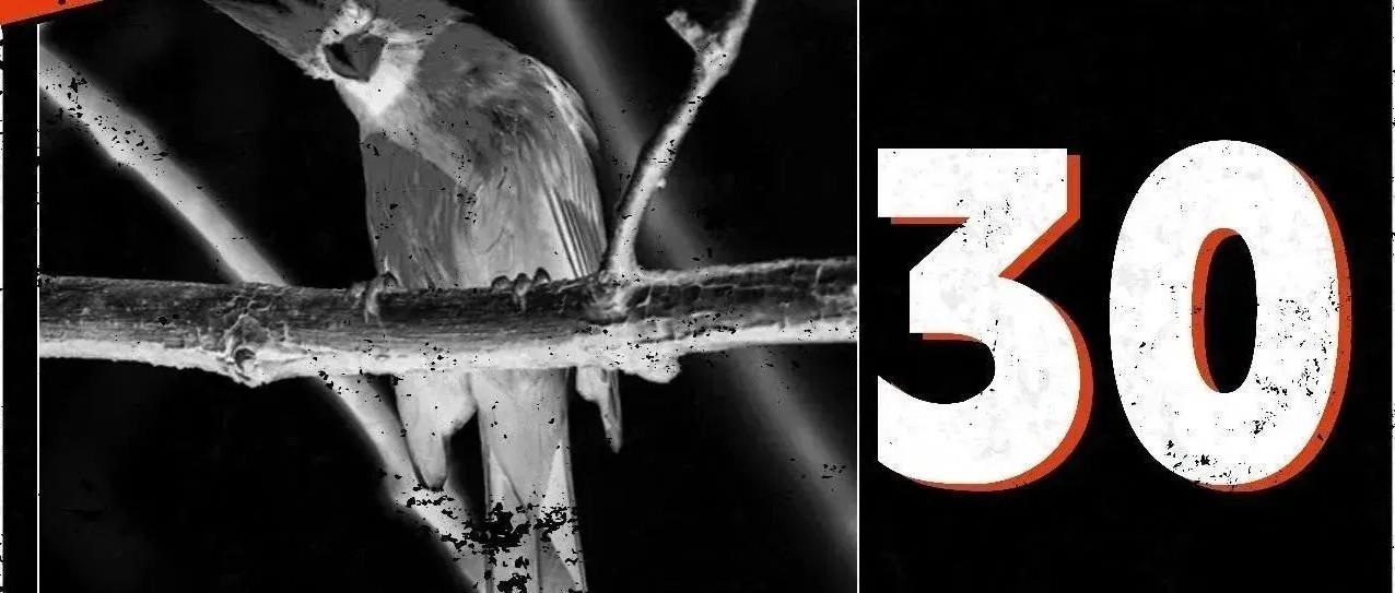 9.15｜出巢计划：救救孩子吧！全场30元
