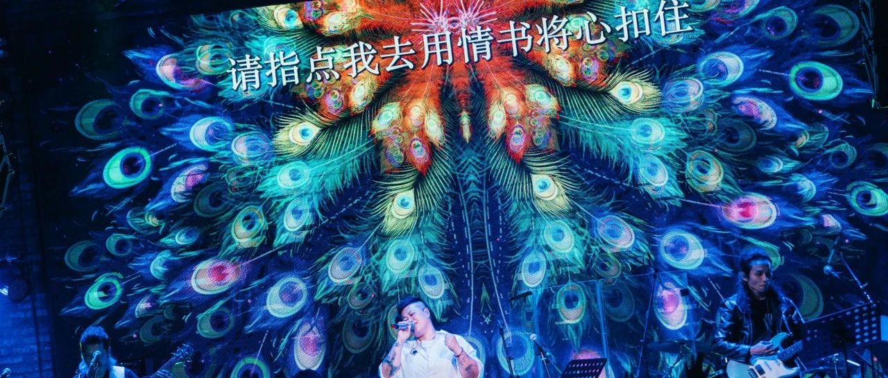 明晚 | 观演须知 | 林二汶「我们都是美好的」巡回音乐会上海站
