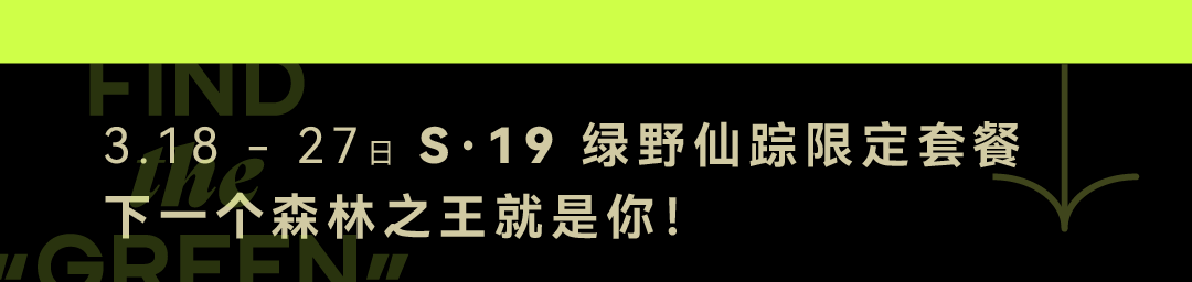 S·19 | 绿野仙踪主题派对！回归娱乐的本质，自然纯粹的快乐垂手可得！-成都S19酒吧/S19 CLUB