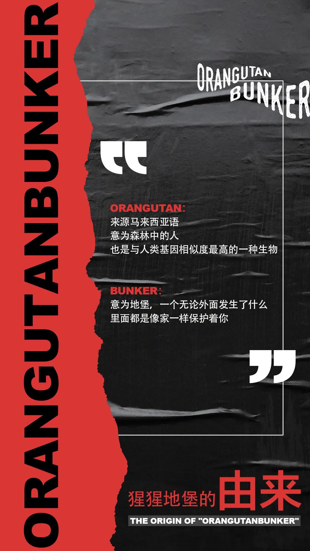 猩猩地堡 I 源自成都，将重新定义重庆夜生活方式-成都猩猩地堡酒吧/ORANGUTAN Bunker