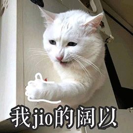 6 | 16 DOGHOUSE厂牌YUUU、鱼蛋席卷佛山-佛山佛姆斯特山酒吧/fomestershan club