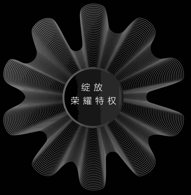滚石酒吧【6月30日】至臻VIP会员之夜-滨州滚石酒吧/ROCK CLUB