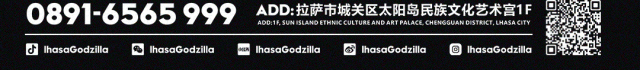 总有一天，你会以你想要的任何方式来到拉萨 I 来到哥斯拉-拉萨哥斯拉酒吧/哥斯拉派对音乐空间