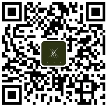 11.04「早上好，我也爱你」送春归2023迟夏巡演 首轮重庆站开票！-重庆MAOLivehouse