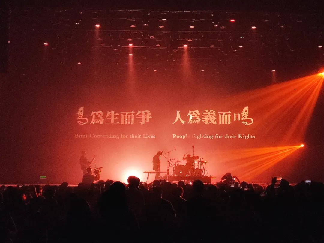 ▶ 11.24 ‖ 沼泽乐队 |「没有答案风中飘」2023全国巡演 郑州站-郑州7LIVEHOUSE