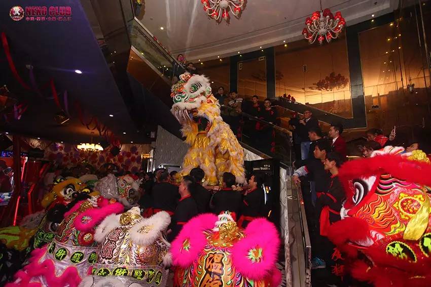 【Nexo Club新闻】肇庆电视台007栏目播报李思捷道贺#力索九周年店庆#-肇庆力索派对酒吧/NexoClub