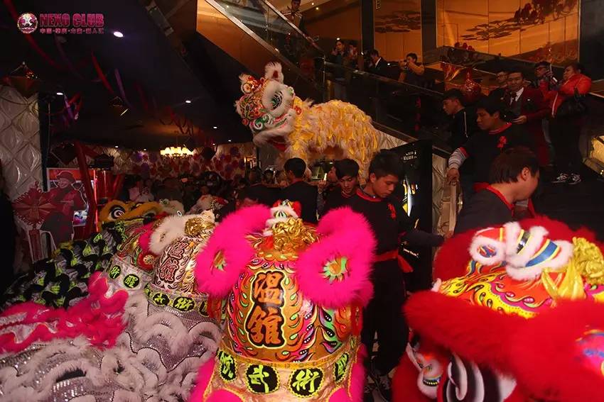 【Nexo Club新闻】肇庆电视台007栏目播报李思捷道贺#力索九周年店庆#-肇庆力索派对酒吧/NexoClub