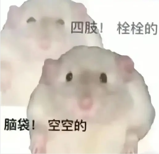 友推｜开票｜非正经人类跨年集合令！法国跨年狂欢音乐秀Fills Monkey: We Will Drum You来了！-杭州66LiveHouse