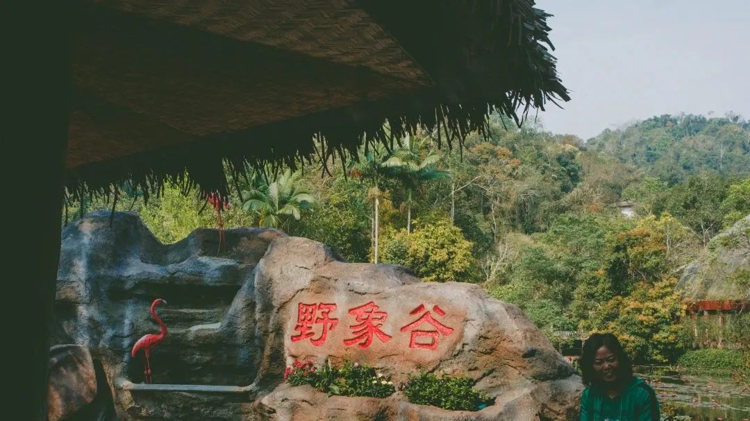 诺湘联盟 株洲&耒阳-携手奋进 向阳而行！三店高管一家亲西双版纳团建之旅-株洲C位酒吧/CENTRE WALK