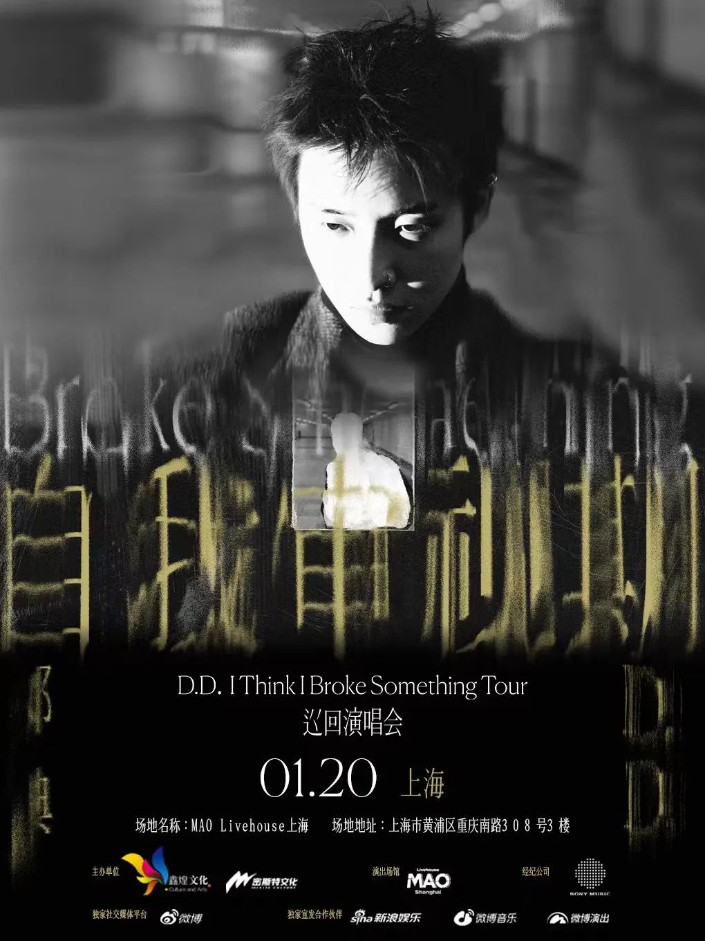 1.20 | 邓典D.D.“自我审视期”巡回演唱会 上海站-上海MAOLivehouse