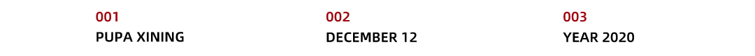 PUPA｜DEC.12 嘉宾预告｜你的快乐双十二被PUPA承包了-西宁PUPA酒吧/PUPA CLUB