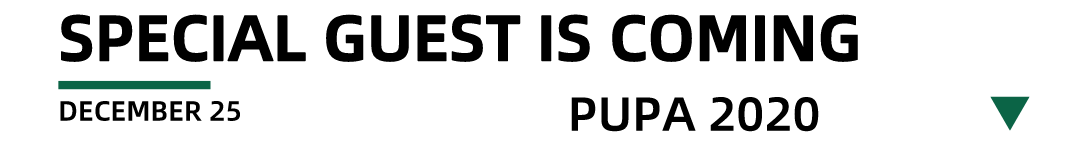 PUPA｜DEC.24/25 派对预告｜重磅福利 请自备纸巾-西宁PUPA酒吧/PUPA CLUB