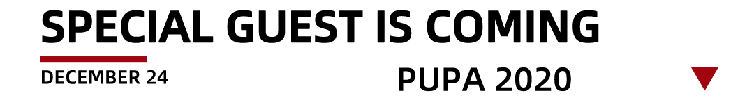 PUPA｜DEC.24/25 派对预告｜重磅福利 请自备纸巾-西宁PUPA酒吧/PUPA CLUB