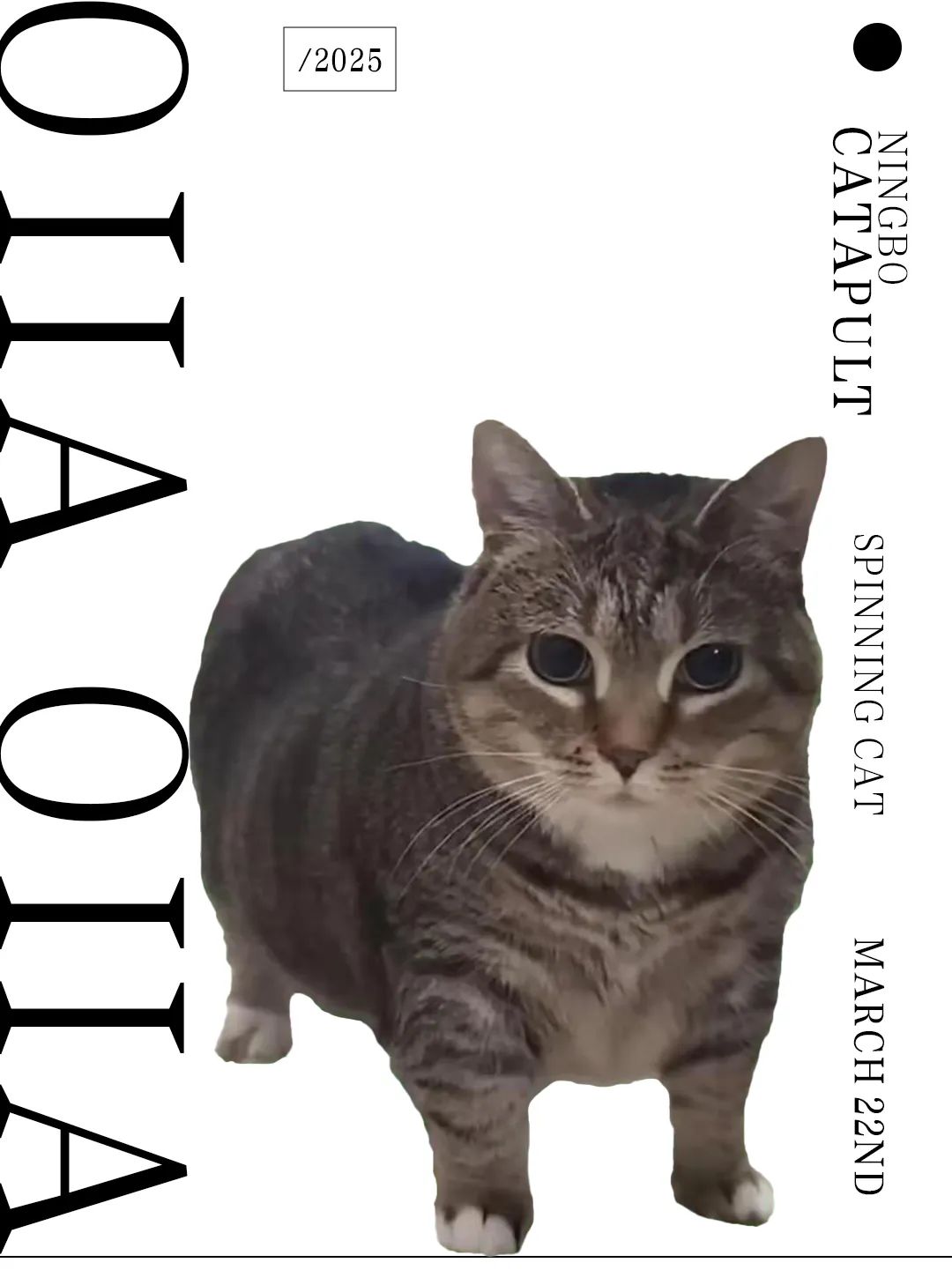 CATAPULT「凯特普」| 开春第一“炸”，双“王”带着那只会旋转的猫来宁波了！-宁波CP酒吧/CATAPULT凯特普酒吧
