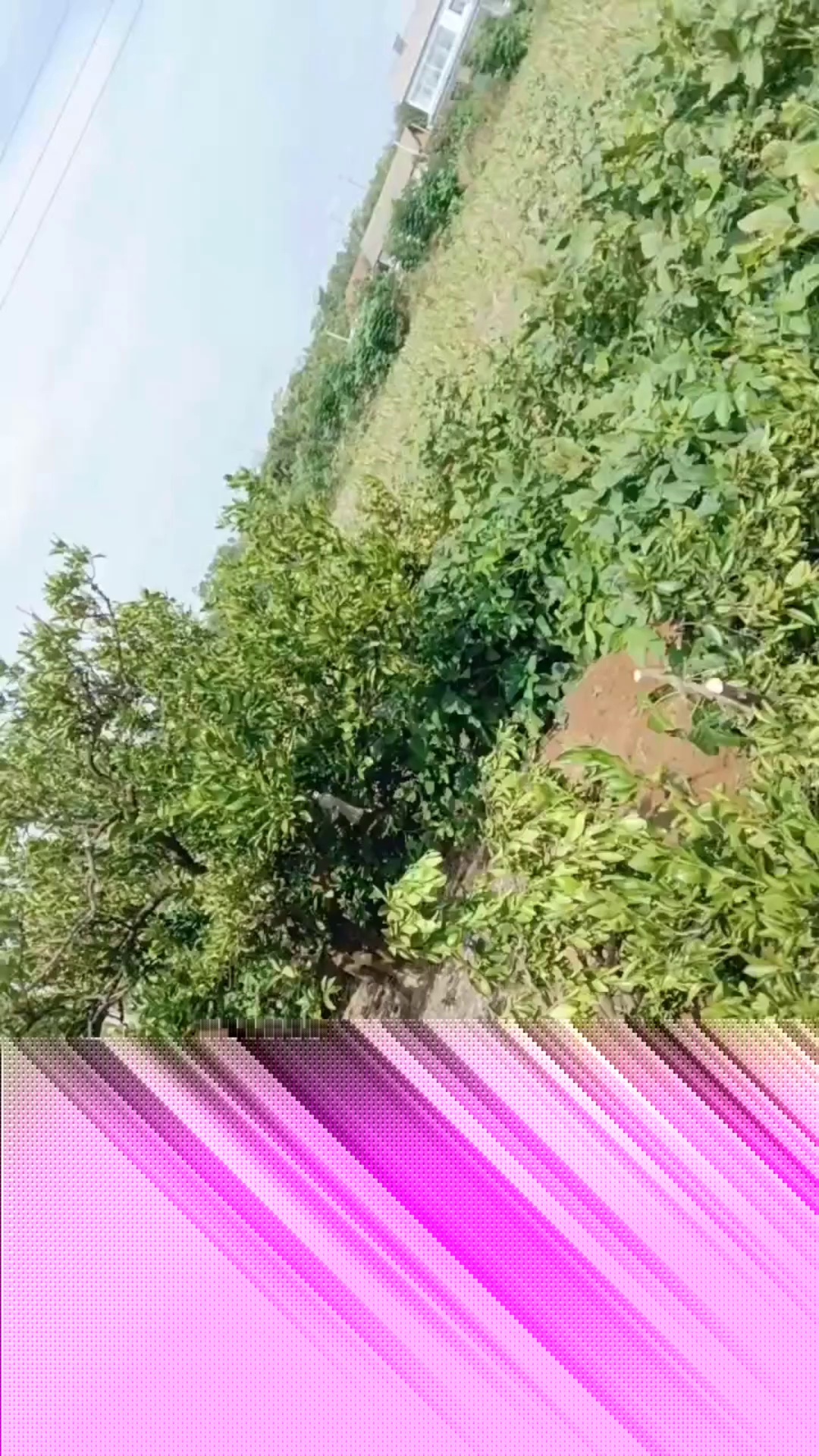 11111-乌鲁木齐