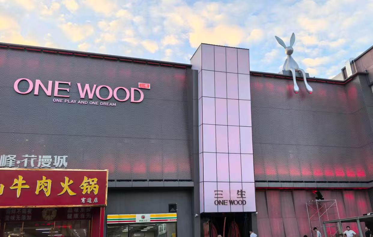 长安长安三生ONEWOOD