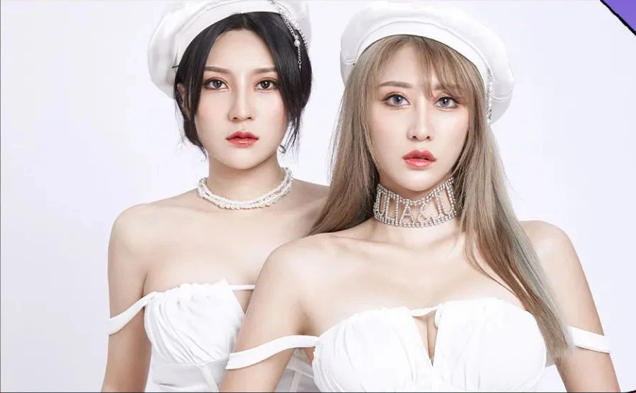 SFOR-2组合