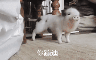 热门蹦迪动态表情包合集~-潍坊苏荷酒吧/SOHO CLUB