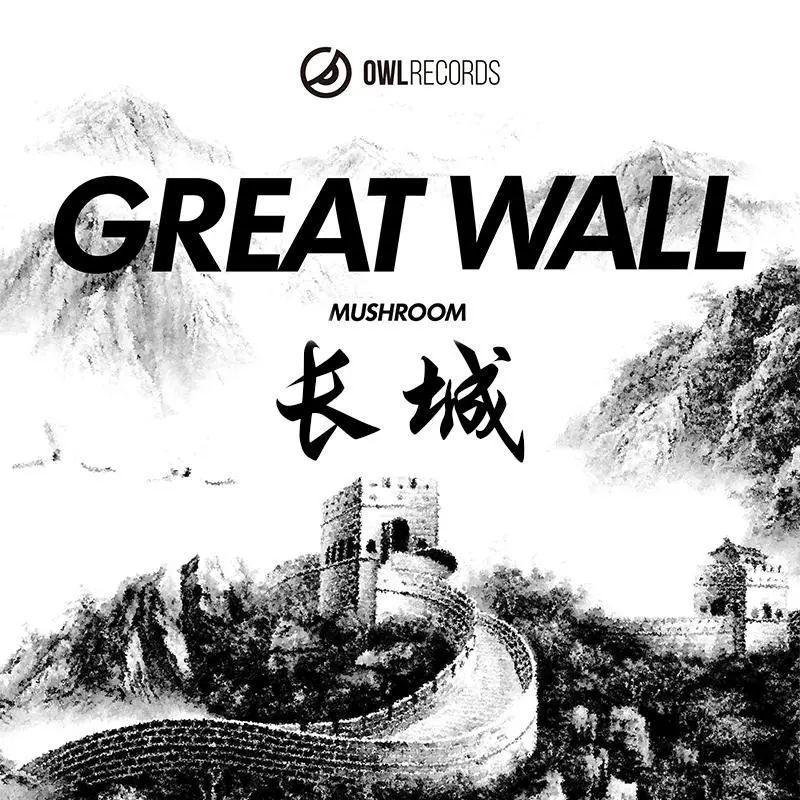 超级马里奥都爱吃的MUSHROOM蘑菇兄弟-合肥斯贝斯酒吧/SPACE酒吧/SPACE CLUB