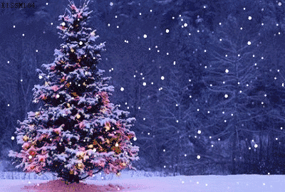 盛泽 MIAMI  12月24-25日  CHRISTMAS PARTY  点亮圣诞  邀您共享圣诞狂欢派对-盛泽迈阿密酒吧/MIAMI CLUB