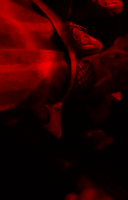 我可以在你的大腿上下棋吗？可以吗？-武汉苏格缪斯酒吧/MUSE CLUB 光谷店