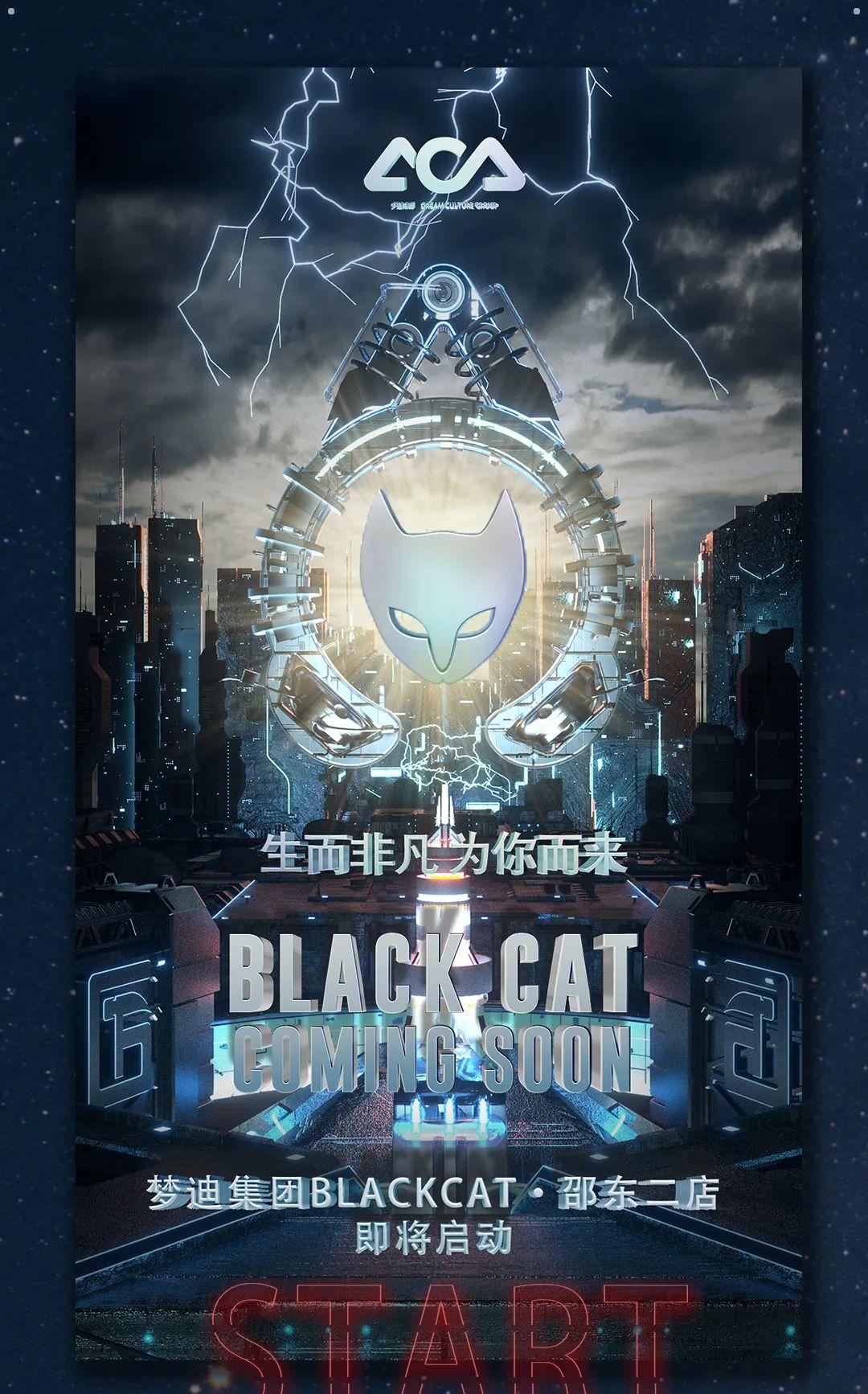 梦迪集团BLACK CAT开启2.0时代，敬请期待-邵东邵东黑猫酒吧/BLACK CAT